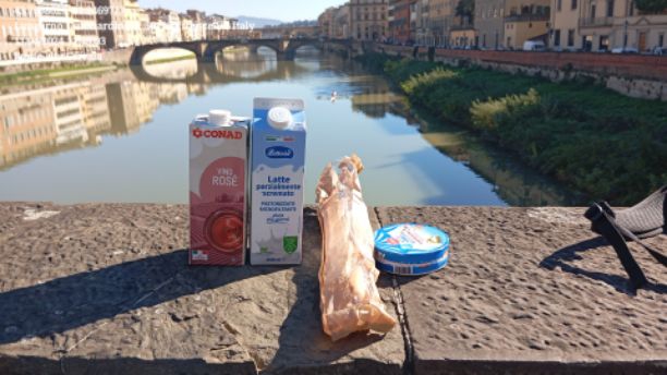 Ponte alla Carraia